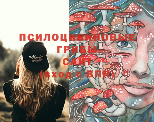 а пвп мука Арсеньев