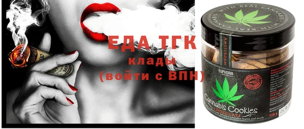 хмурый Тайга