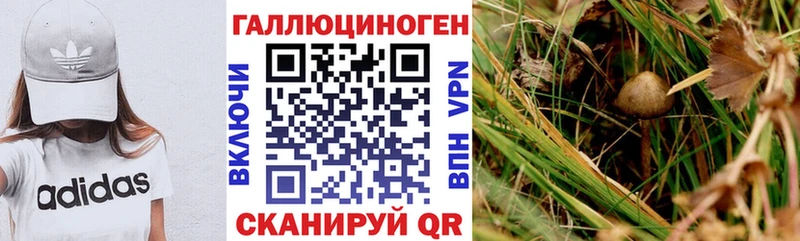 Галлюциногенные грибы ЛСД  Фатеж 